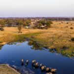 Botswana Seeks Sustainable Solutions for Human-Wildlife Coexistence