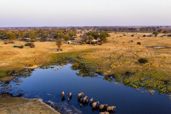 Botswana Seeks Sustainable Solutions for Human-Wildlife Coexistence Botswana Seeks Sustainable Solutions for Human-Wildlife Coexistence