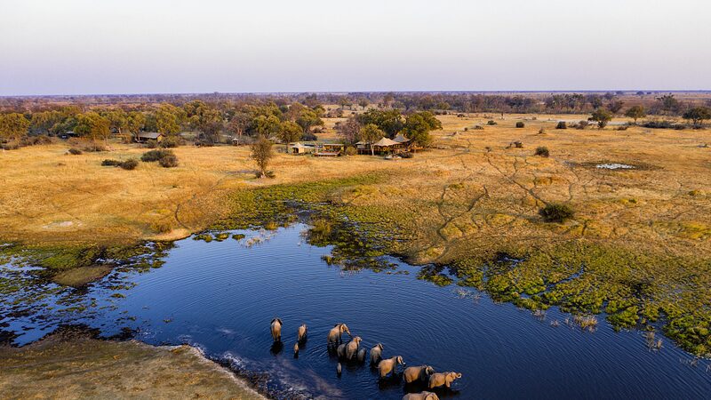 Botswana_Seeks_Sustainable_Solutions_for_Human-Wildlife_Coexistence - Khabar Asia Botswana Seeks Sustainable Solutions for Human-Wildlife Coexistence