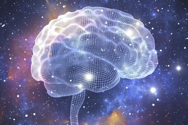 Brain Stimulation Technique Empowers Spinal Injury Patients to Walk Again Brain_Stimulation_Technique_Empowers_Spinal_Injury_Patients_to_Walk_Again