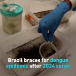 Brazil_Braces_for_New_Dengue_Epidemic_After_Record_Surge_in_2024 video poster