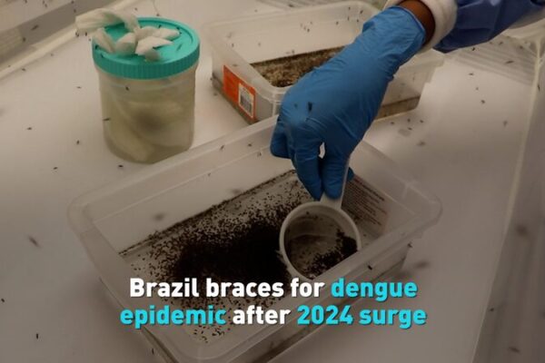 Brazil Braces for New Dengue Epidemic After Record Surge in 2024 Brazil_Braces_for_New_Dengue_Epidemic_After_Record_Surge_in_2024 video poster
