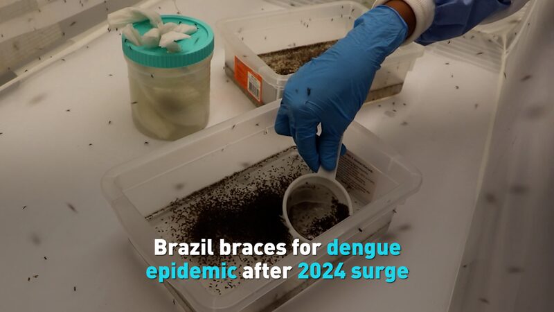 Brazil_Braces_for_New_Dengue_Epidemic_After_Record_Surge_in_2024_poster - Khabar Asia Brazil_Braces_for_New_Dengue_Epidemic_After_Record_Surge_in_2024 video poster