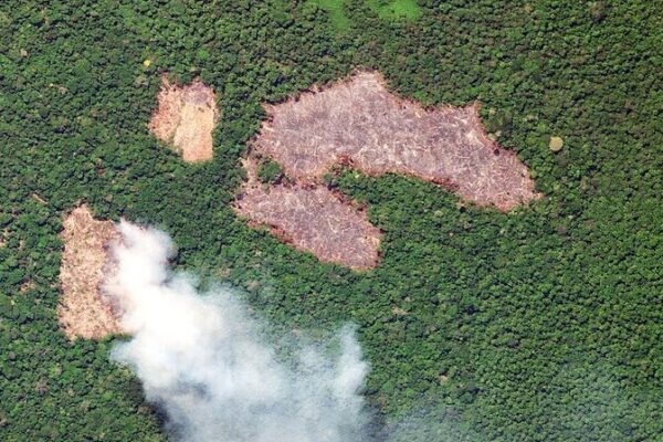 Brazil's Amazon Deforestation Hits Six-Year Low in Early 2023