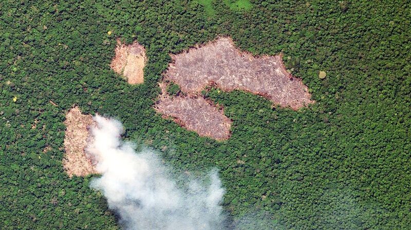 Brazils_Amazon_Deforestation_Hits_Six-Year_Low_in_Early_2023 - Khabar Asia Brazil's Amazon Deforestation Hits Six-Year Low in Early 2023