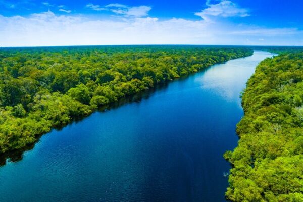 Brazil’s Deforestation Decreases by 11.6% in 2023: MapBiomas Report Brazil's Deforestation Decreases by 11.6% in 2023: MapBiomas Report