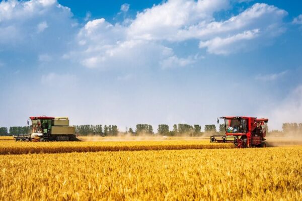 Breakthrough Bacterium Reduces Potent Greenhouse Gas Emissions in Farms Breakthrough Bacterium Reduces Potent Greenhouse Gas Emissions in Farms