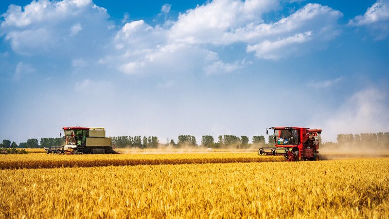 Breakthrough_Bacterium_Reduces_Potent_Greenhouse_Gas_Emissions_in_Farms - Khabar Asia Breakthrough Bacterium Reduces Potent Greenhouse Gas Emissions in Farms