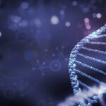 Breakthrough_Discovery__Gene_Linked_to_Inherited_Eye_Diseases_Identified_by_U_S__Researchers