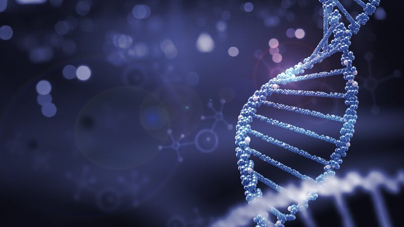 Breakthrough_Discovery__Gene_Linked_to_Inherited_Eye_Diseases_Identified_by_U_S__Researchers - Khabar Asia Breakthrough_Discovery__Gene_Linked_to_Inherited_Eye_Diseases_Identified_by_U_S__Researchers