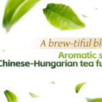Brewing Connections: Chinese Tea Culture Blossoms in Hungary video poster