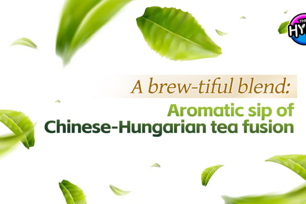Brewing Connections: Chinese Tea Culture Blossoms in Hungary Brewing Connections: Chinese Tea Culture Blossoms in Hungary video poster