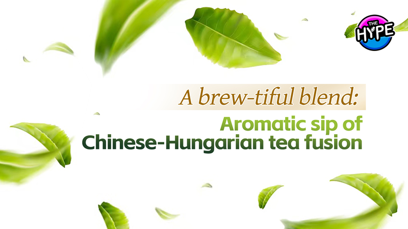 Brewing_Connections_Chinese_Tea_Culture_Blossoms_in_Hungary_poster - Khabar Asia Brewing Connections: Chinese Tea Culture Blossoms in Hungary video poster