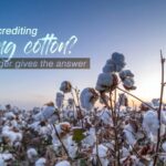 British Vlogger Challenges Xinjiang Cotton Forced Labor Claims video poster