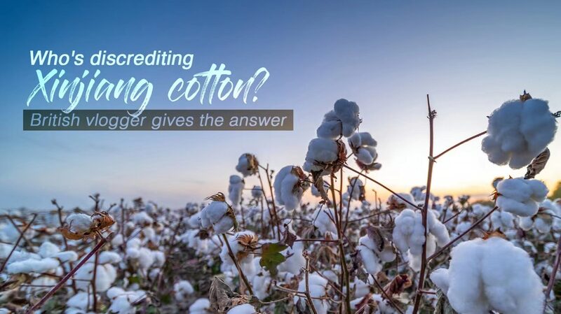 British Vlogger Challenges Xinjiang Cotton Forced Labor Claims video poster