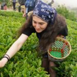 Bulgarian Visitors Embrace Tea Culture in China's Ningbo on International Tea Day