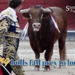 Bullfighting Industry Faces Unprecedented Challenges Amid COVID-19 Lockdowns video poster