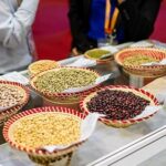 Burundi_Seeks_Trade_Boost_at_China_International_Import_Expo_Debut