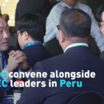 CEOs_and_APEC_Leaders_Collaborate_at_Summit_in_Lima video poster
