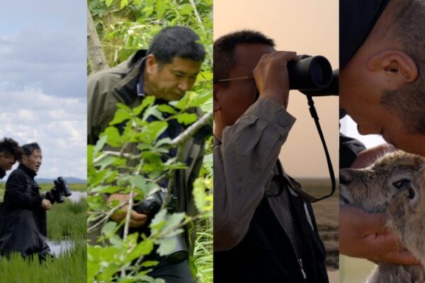 CGTN Unveils ‘Harmony Keepers’: Tales of Nature’s Guardians CGTN_Unveils__Harmony_Keepers___Tales_of_Nature_s_Guardians
