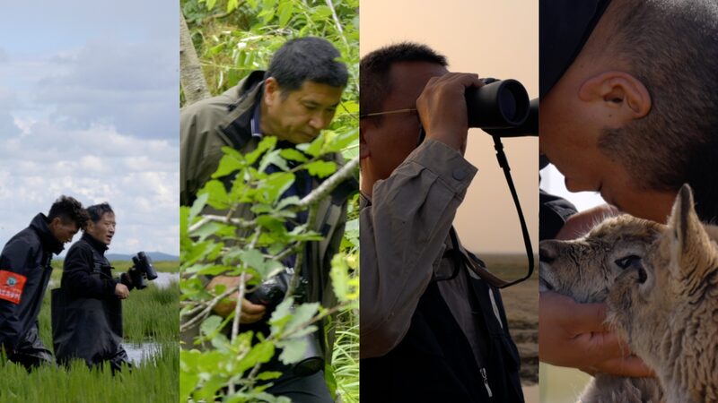 CGTN_Unveils__Harmony_Keepers___Tales_of_Nature_s_Guardians - Khabar Asia CGTN_Unveils__Harmony_Keepers___Tales_of_Nature_s_Guardians