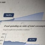 CGTN_Unveils__The_Gateway_of_Time___An_AR_Journey_Through_75_Years_of_Chinese_Homes