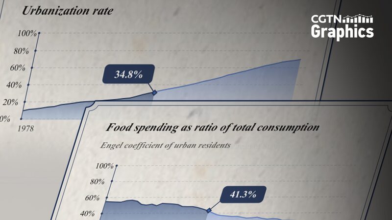 CGTN_Unveils__The_Gateway_of_Time___An_AR_Journey_Through_75_Years_of_Chinese_Homes