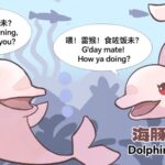 CGTN_s_New_Comics_Highlight_Dolphin_Fun_Facts_and_Conservation