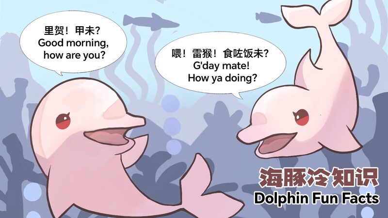 CGTN_s_New_Comics_Highlight_Dolphin_Fun_Facts_and_Conservation - Khabar Asia CGTN_s_New_Comics_Highlight_Dolphin_Fun_Facts_and_Conservation