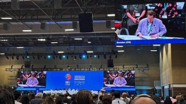 COP16_Concludes_in_Colombia_with_Three_Landmark_Biodiversity_Agreements - Khabar Asia COP16_Concludes_in_Colombia_with_Three_Landmark_Biodiversity_Agreements