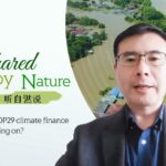 COP29_Climate_Finance_Talks_Drag_On_Over_Funding_Disputes video poster