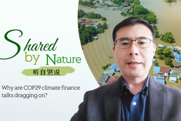 COP29_Climate_Finance_Talks_Drag_On_Over_Funding_Disputes video poster