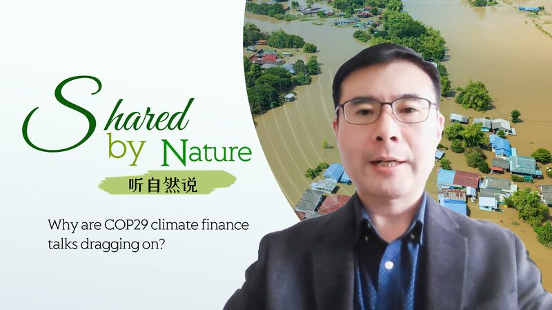 COP29_Climate_Finance_Talks_Drag_On_Over_Funding_Disputes video poster