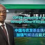 COP29__Investing_in_Smallholder_Farmers__Climate_Resilience_through_China_IFAD_Partnership