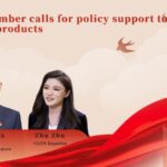 CPPCC Member Urges Policy Support to Bridge China's Tech Innovation Gap video poster