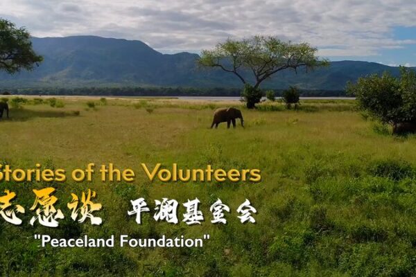 Calming the Storm: Beijing Pinglan Foundation’s Global Humanitarian Mission Calming_the_Storm__Beijing_Pinglan_Foundation_s_Global_Humanitarian_Mission video poster