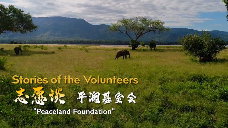 Calming_the_Storm__Beijing_Pinglan_Foundation_s_Global_Humanitarian_Mission video poster