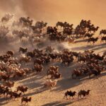 Camels_Begin_Majestic_Winter_Migration_in_Inner_Mongolia_s_Badain_Jaran_Desert video poster