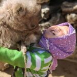 Camels__Man_s_Best_Friend_in_the_Badain_Jaran_Desert