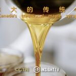 Canadian Family Keeps Maple Syrup Tradition Alive in Northern Ontario video poster