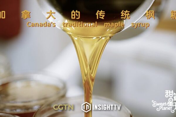 Canadian Family Keeps Maple Syrup Tradition Alive in Northern Ontario Canadian Family Keeps Maple Syrup Tradition Alive in Northern Ontario video poster