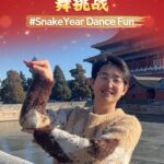 Celebrate_Chinese_New_Year_with__SnakeYearDanceFun_Challenge_Led_by_Xu_Siqian video poster