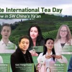Celebrate International Tea Day in China's Tea Capital Ya'an video poster