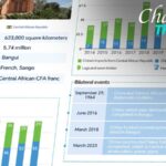 Celebrating_60_Years_of_China_Central_African_Republic_Relations