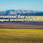 Celebrating Biodiversity: China's Role on International Day for Biological Diversity