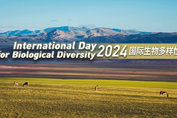 Celebrating Biodiversity: China's Role on International Day for Biological Diversity