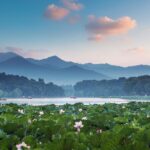 Celebrating China's Summer Solstice: The Longest Day in the 24 Solar Terms
