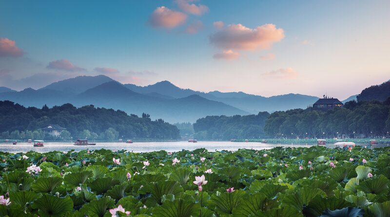 Celebrating China's Summer Solstice: The Longest Day in the 24 Solar Terms