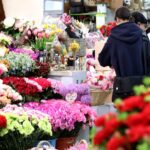 Celebrating Mothers: Diverse Traditions Across Asia and Beyond