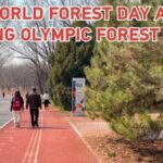 Celebrating World Forest Day at Beijing Olympic Forest Park: An Urban Biodiversity Haven video poster